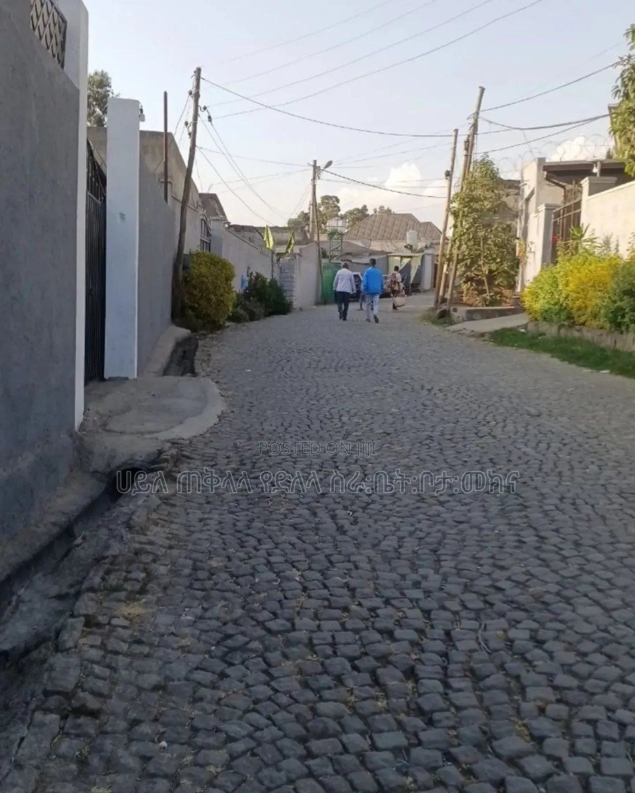 የምሸጥ 250 ካሬ.ሜትር ቦታ