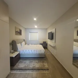 Furnished 1bdrm Apartment in Addis Abeba, Bole for rent