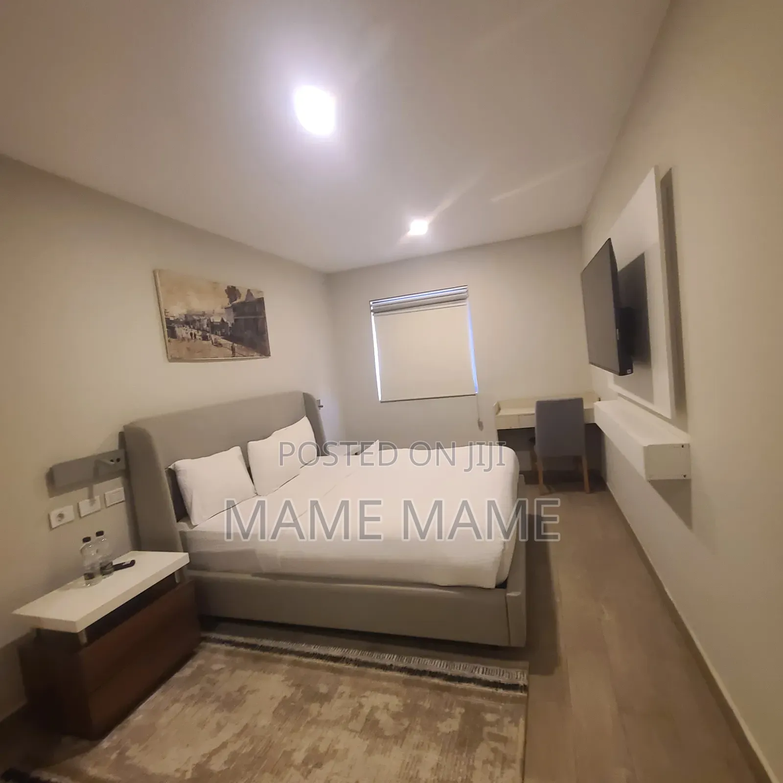 Furnished 1bdrm Apartment in Addis Abeba, Bole for rent