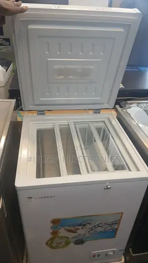 Everest Chest Freezer, Likely the 170-Liter Model.