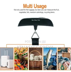 Premium Lugguage Scale(50kg Capacity)