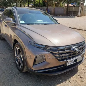 Hyundai Tucson 2021 Brown