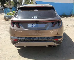 Hyundai Tucson 2021 Brown