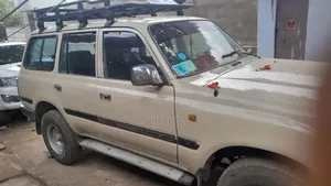 Toyota Land Cruiser 1991 Brown