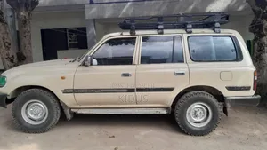 Toyota Land Cruiser 1991 Brown