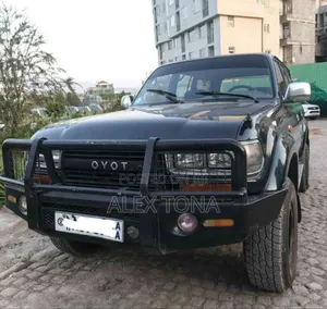 Toyota Land Cruiser 1993 Gray