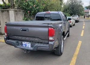 Toyota Tacoma 2019 Gray
