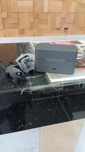 Original New Dji Mini Dual Mic