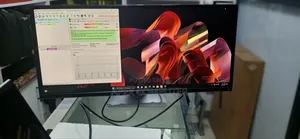 Monitor 29