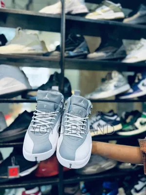 Air Jordan 12 Retro Stealth Cool Grey Fashion Sneaker