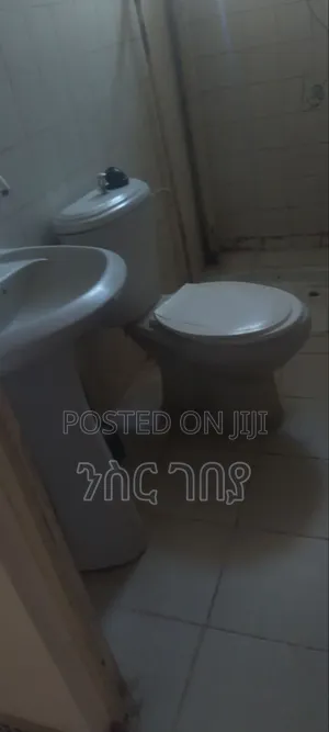 1bdrm Condo in Ayat Tsebel, Yeka for rent