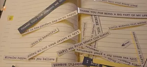 Pc or Phone Stickers