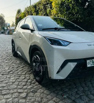 BYD Seagull 2024 White