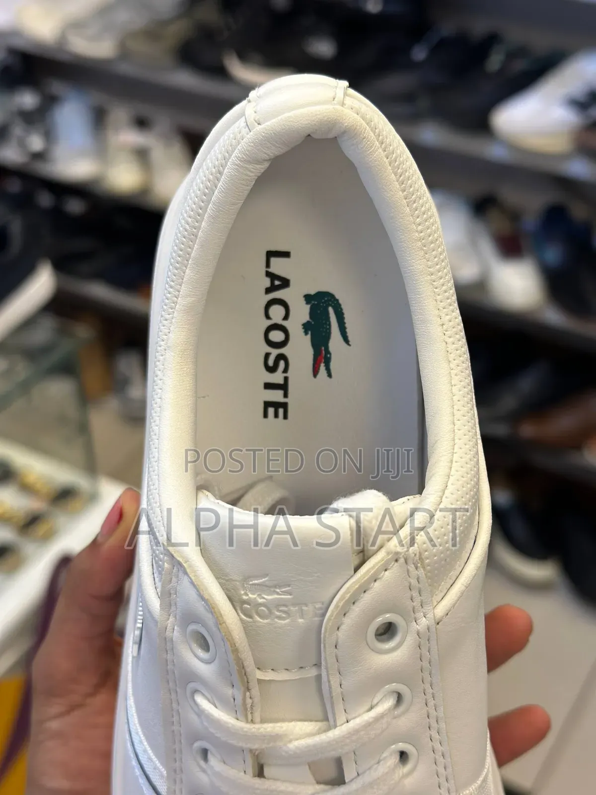 Lacoste High Master Quality Flat White Color