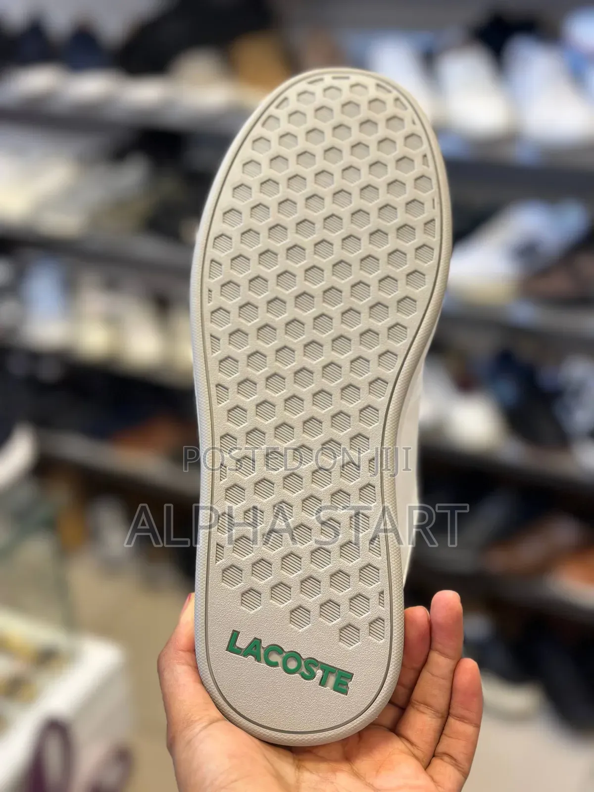 Lacoste High Master Quality Flat White Color