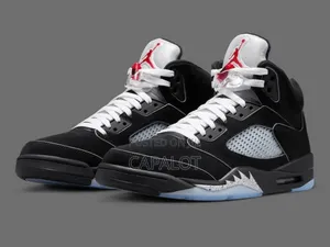 Jordan 5 Metallic