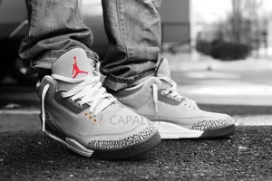 Jordan 3 Cool Grey