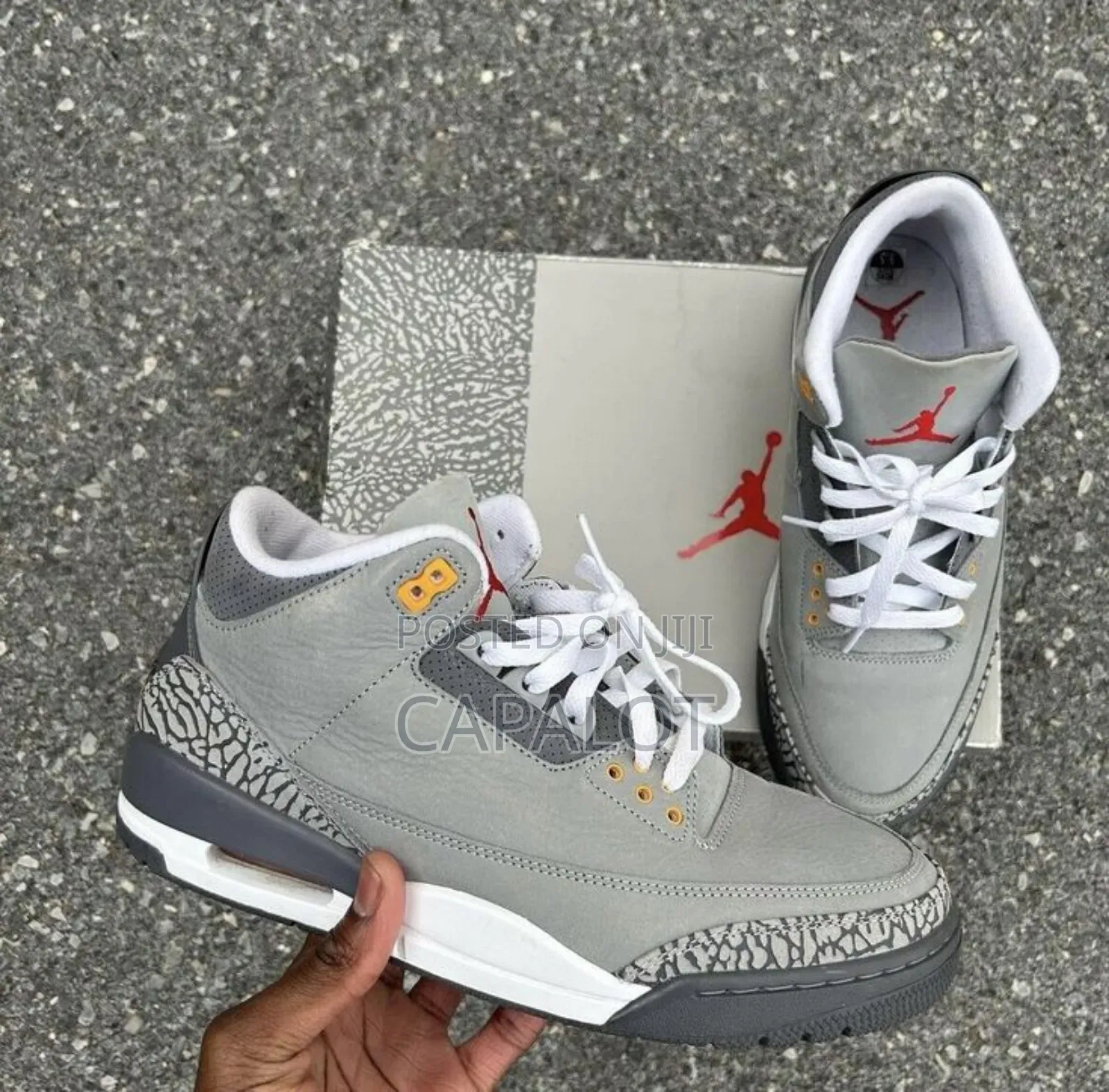 Jordan 3 Cool Grey