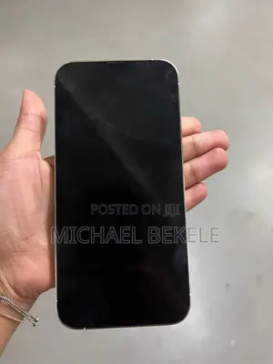 Apple iPhone 13 Pro Max 256 GB White