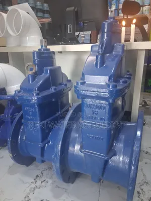 Flanged Gate Valve