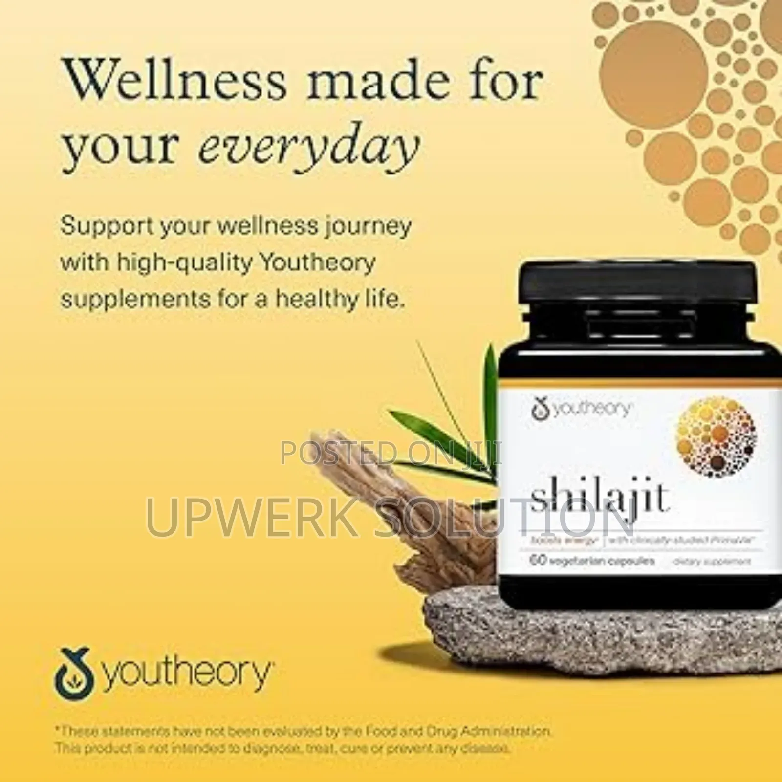  Youtheory Shilajit