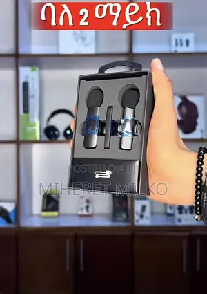 Kg Wireless Dual Microphone