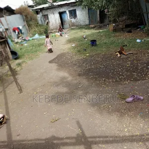 1bdrm House in Oromia, East Shewa for rent