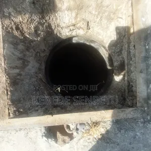 Farm Land for Sale or Rent