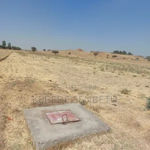 Farm Land for Sale or Rent