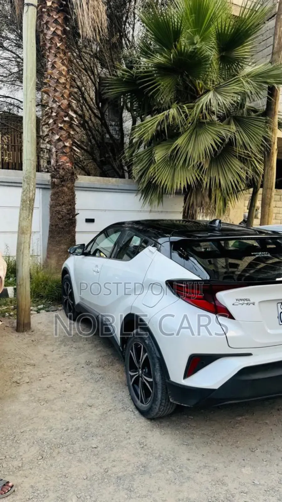 Toyota C-HR 2022 White
