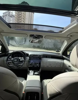 Hyundai Tucson 2021 Brown