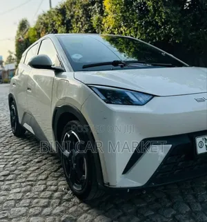 BYD Seagull 38 kWh FWD 2024 White