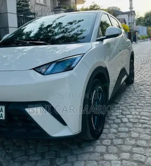 BYD Seagull 38 kWh FWD 2024 White