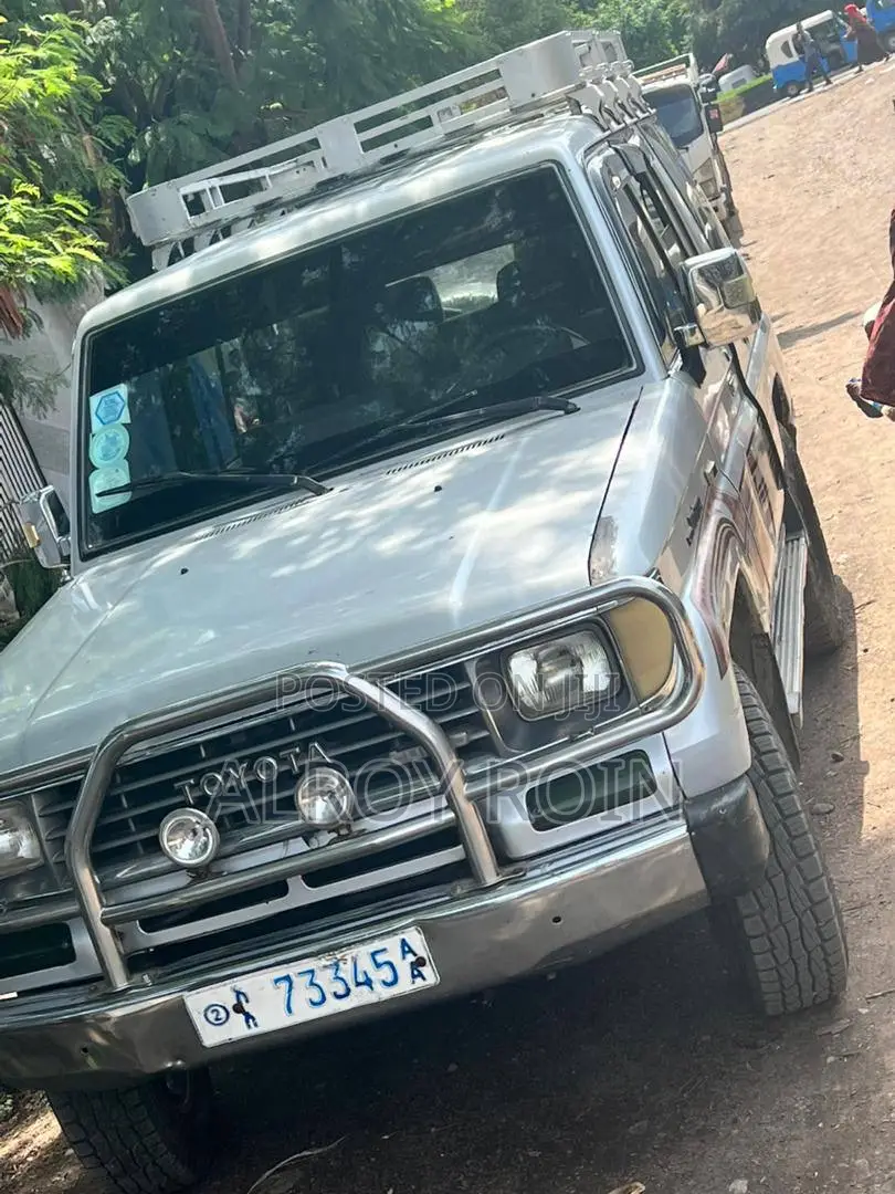 Toyota Land Cruiser 1995 Silver