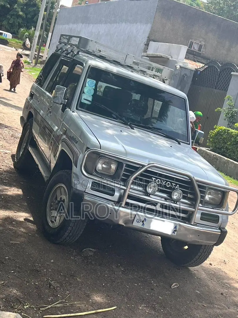 Toyota Land Cruiser 1995 Silver