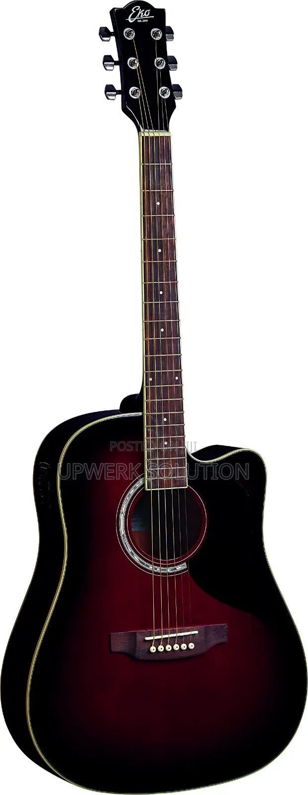 Guitars With Full Accessories