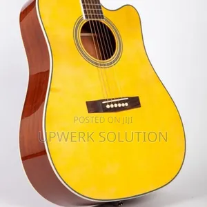 Acoustic Guitar