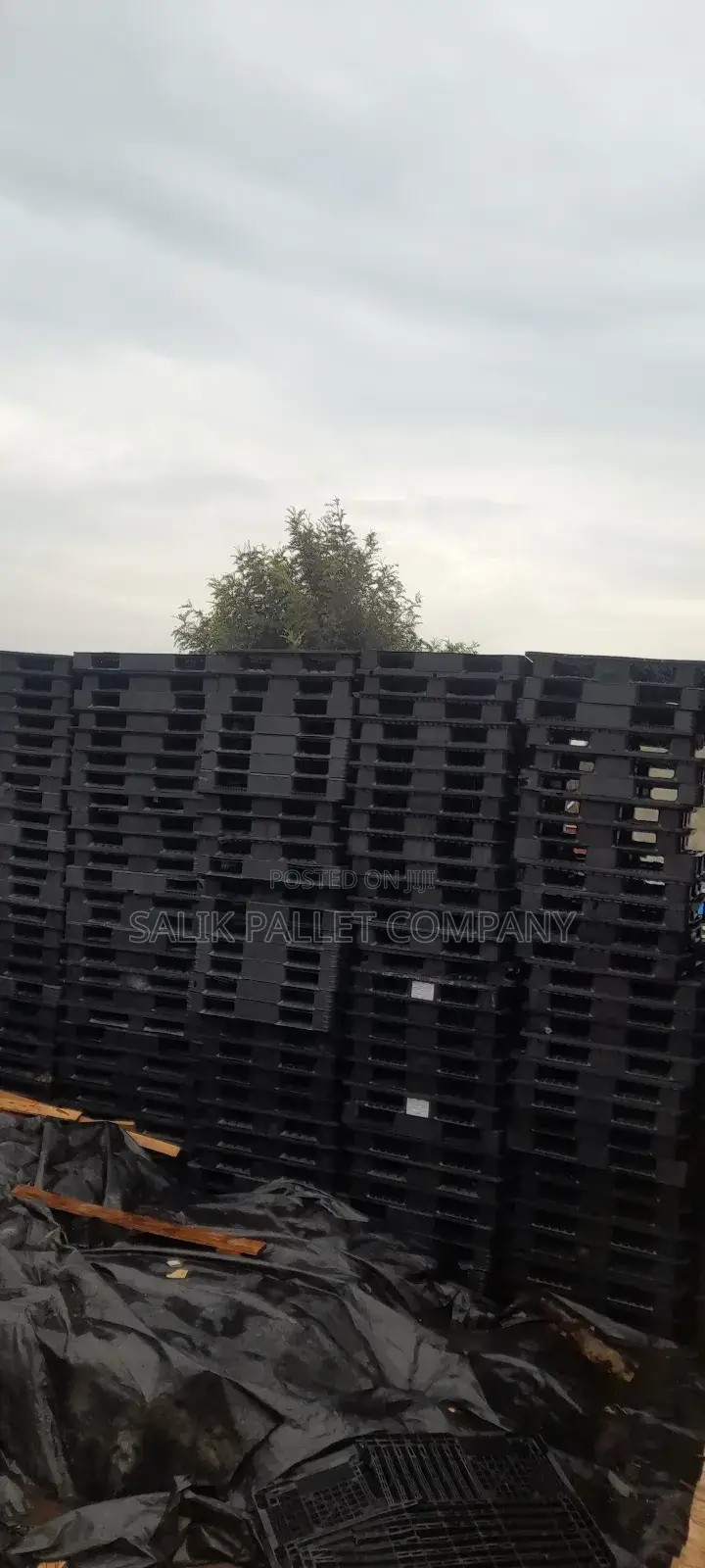 Pallet Any Purpose Plasticand Wooden