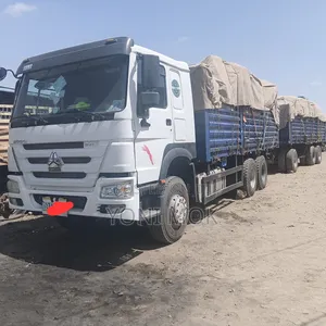 Sino Casoni for for Sale