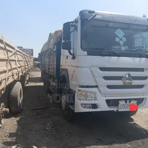 Sino Casoni for for Sale