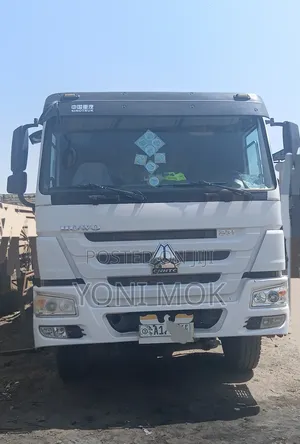 Sino Casoni for for Sale