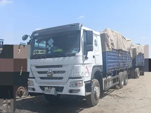 Sino Casoni for for Sale