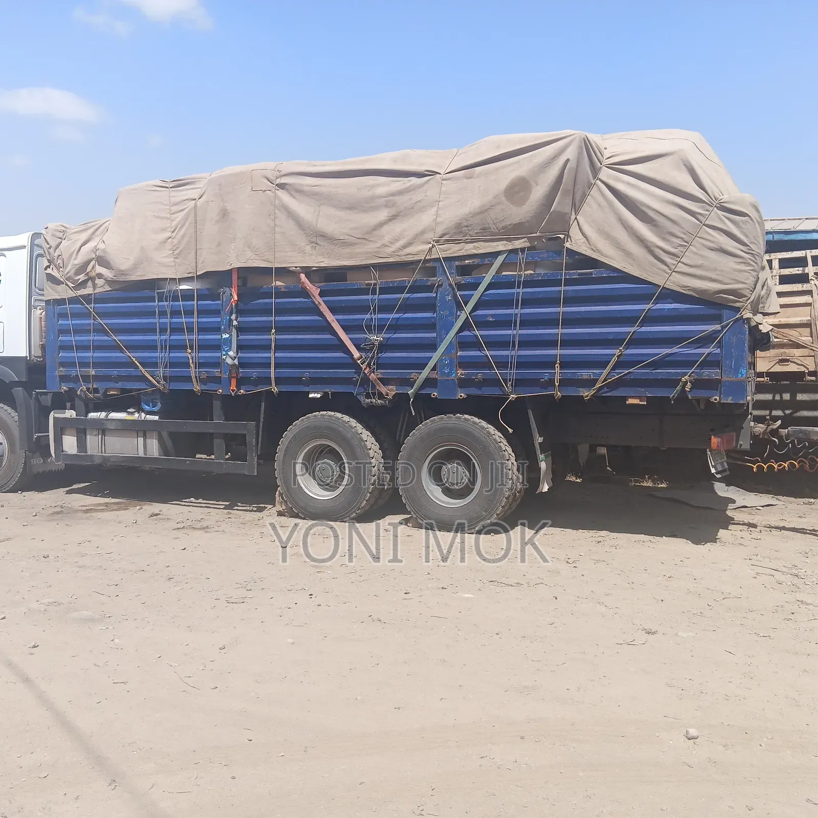 Sino Casoni for for Sale