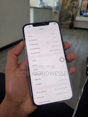 Apple iPhone 12 Pro Max 128 GB Gray