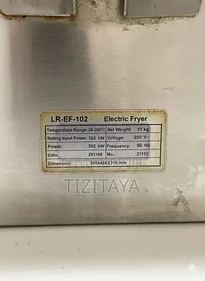 Lr Deep Fryer Dual-tank