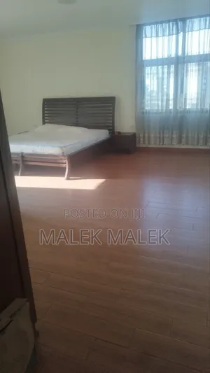 Furnished 3bdrm Apartment in Addey Apartment, Bole for rent