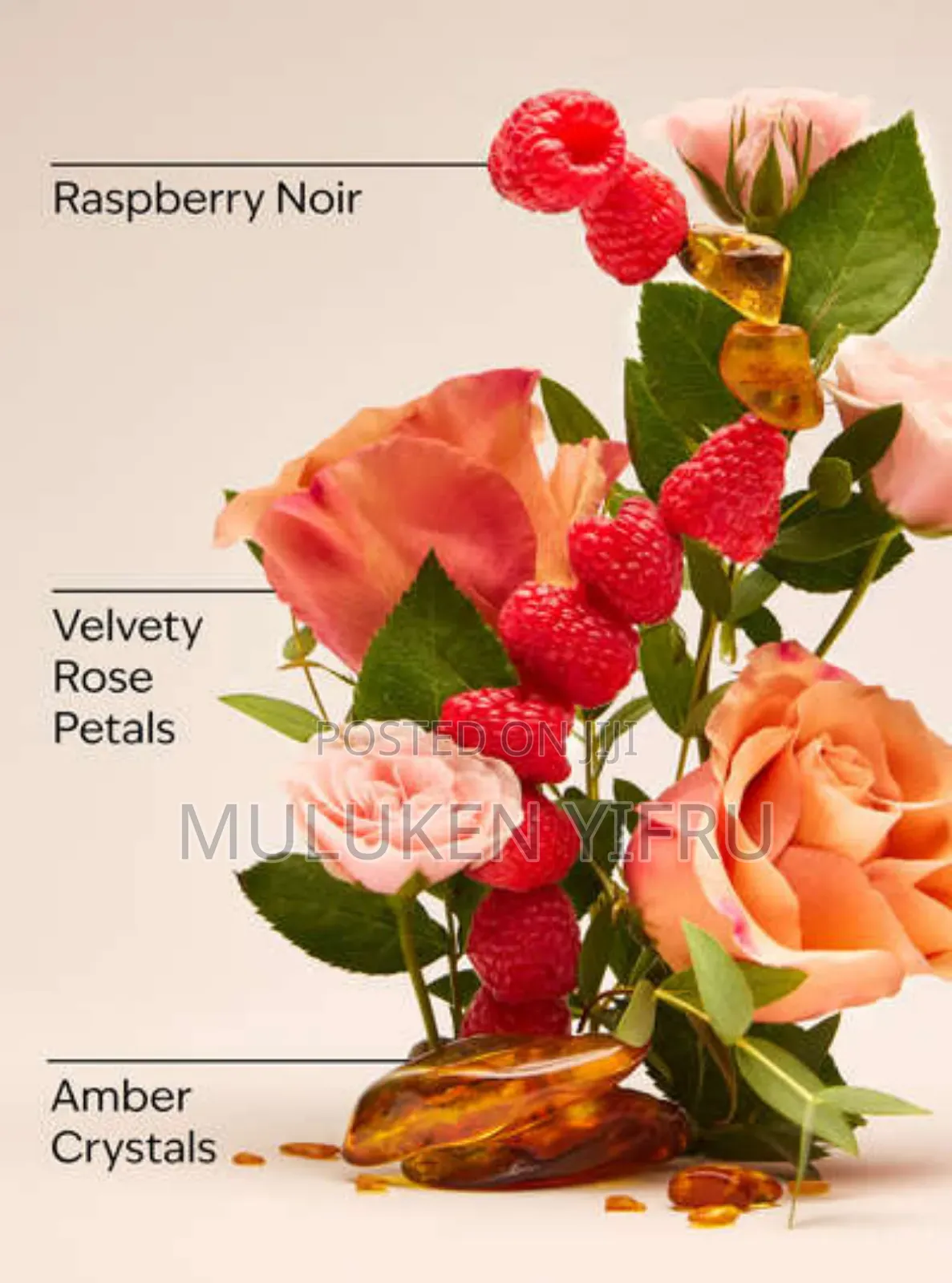 Into the Night Lotion