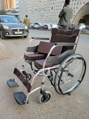 Toilet Wheelchair邮彼cushioned Seat Safety Support(Ft-Wc1)