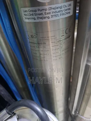 Leo Borehole Water Pump