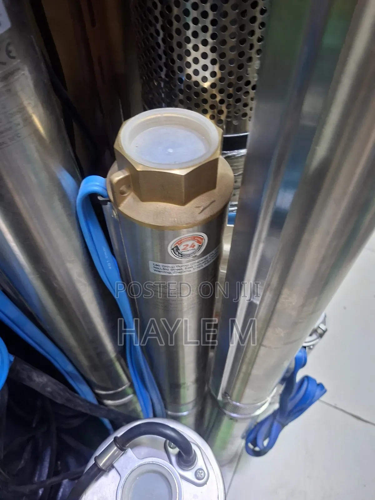 Leo Borehole Water Pump